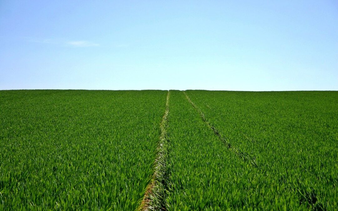 L’innovazione in agricoltura è un’opportunità per il post Covid: il Manifesto dell’Agricoltura 4.0 di Coldiretti