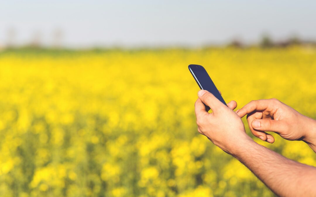 Online il Vademecum operativo dedicato a “Regole e procedure di affidamento a privati di terre comunali”