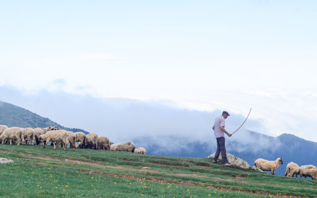 L’Abruzzo punta ad ottenere il riconoscimento della transumanza fra i patrimoni materiali  dell’Unesco