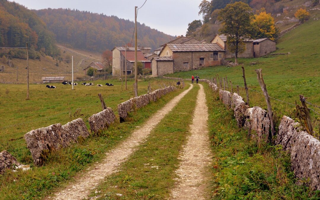 Confcooperative proroga il II° bando a favore delle cooperative di comunità