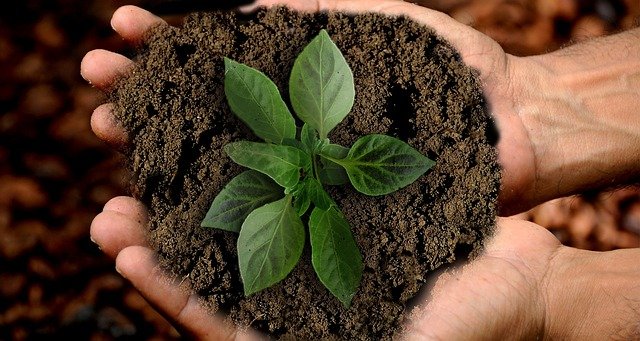 Il 18 novembre in diretta Facebook gli Stati Generali dell’Agricoltura Sostenibile