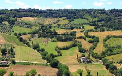 Valorizzazione dei terreni di Villa Zuppani nel bellunese