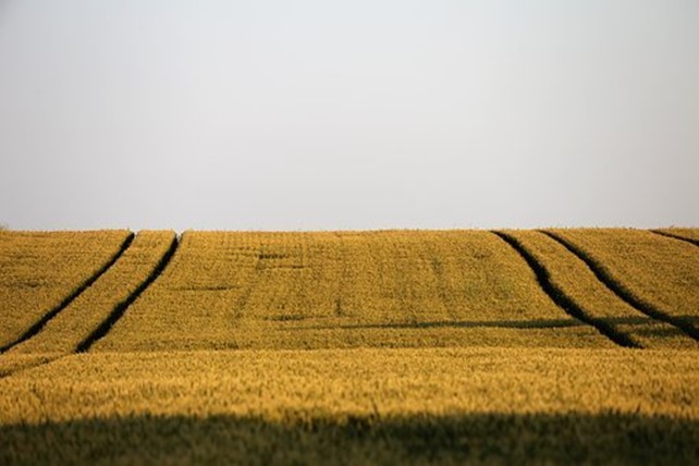 Nel Comune di Busto Arsizio 50 ettari pubblici per l’agricoltura