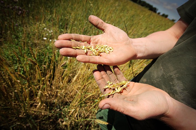 “Adotta un agricoltore”: l’iniziativa per sostenere i borghi italiani