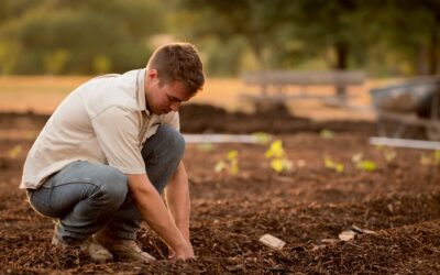 In Abruzzo gli under 35 scommettono sull’agricoltura