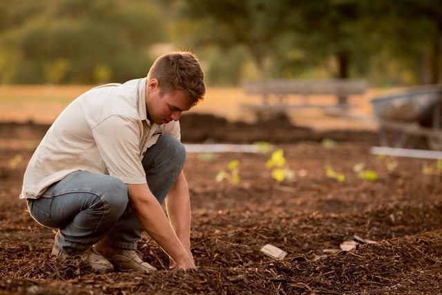 In Abruzzo gli under 35 scommettono sull’agricoltura