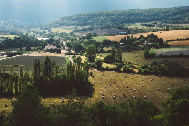 “Giovani: coltiviamo il futuro?”: il progetto del Comune di Arco per il bando Fermenti in Comune