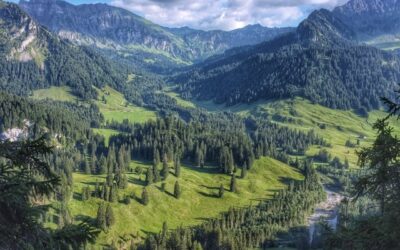 ASBUC e ITABIA: bioenergia per valorizzazione sostenibile del patrimonio boschivo
