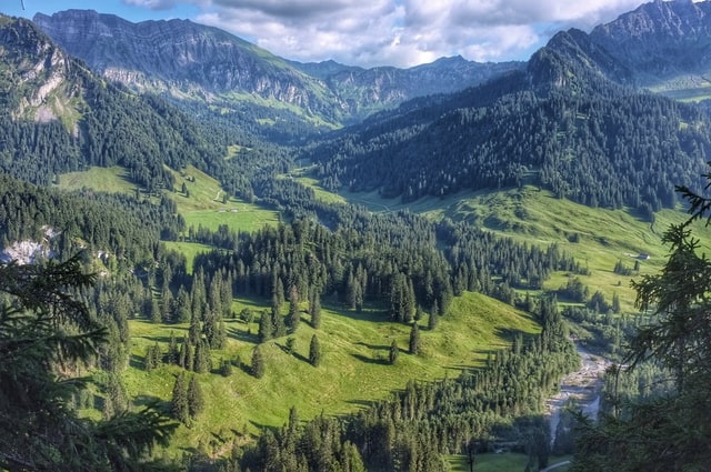 ASBUC e ITABIA: bioenergia per valorizzazione sostenibile del patrimonio boschivo