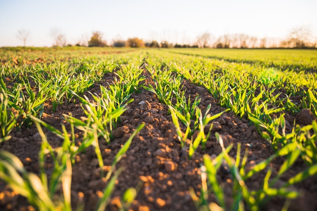 La “Compagnia del suolo” avvia l’analisi della salute dei terreni agricoli