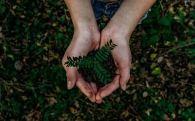 ISPRA e Carta della Natura per conoscere, proteggere e pianificare