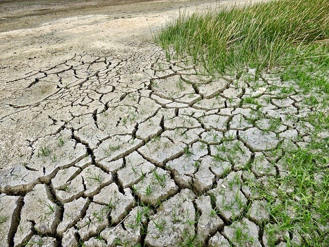 Desertificazione: in Italia il 20% della superficie è a rischio