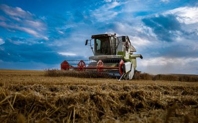 ISTAT e CREA pubblicano l’analisi congiunturale 2021 sul settore primario