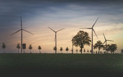 La Commissione VIA e VAS MiTe lancia gli Stati generali