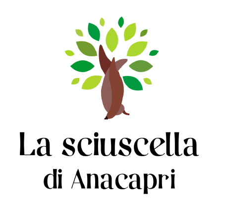 La Sciuscella di Anacapri