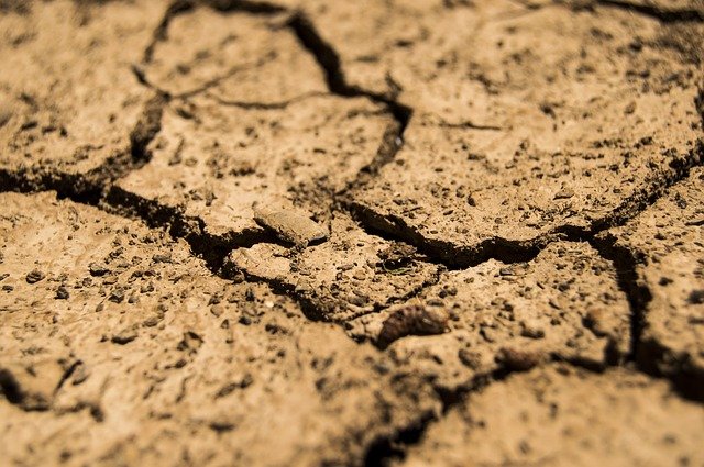Agricoltura, allarme siccità e gelo: danni per oltre 1 miliardo