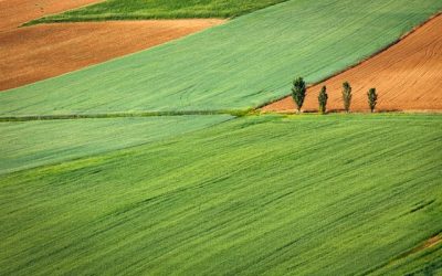 Scade il 15 giugno il bando per progetti Smart village