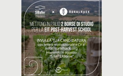 SIBaTer e Rural Hack: 2 borse di studio per la Post Harvest School