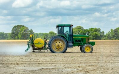 Agricoltura, online il position paper di Alex Giordano sulle proteste degli agricoltori