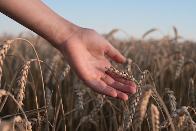 Agroalimentare