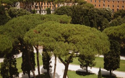 TREESURE – Decision Support Tool for Risk Evaluation, Management and Awareness of Tree Failure Disasters